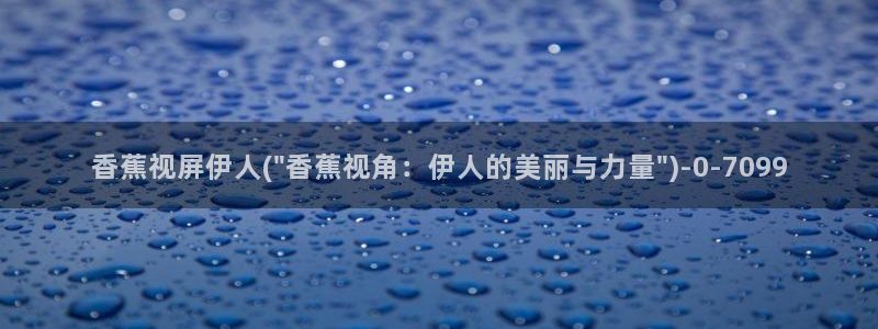 伊人宗和网视频