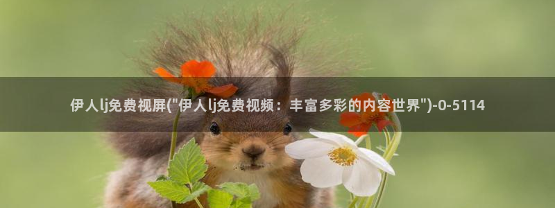 伊人成综合人网视频专题