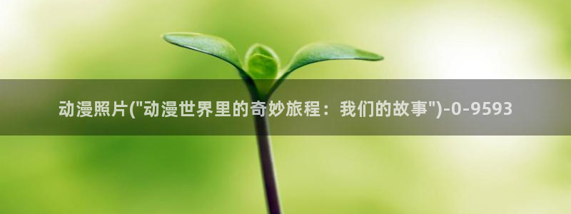 斗罗大陆2绝世唐门动漫免费观看