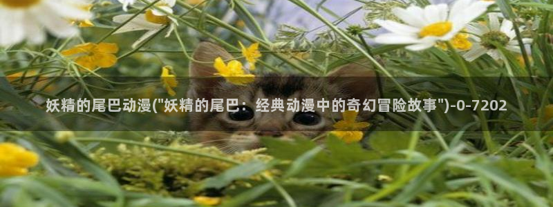 动漫黄