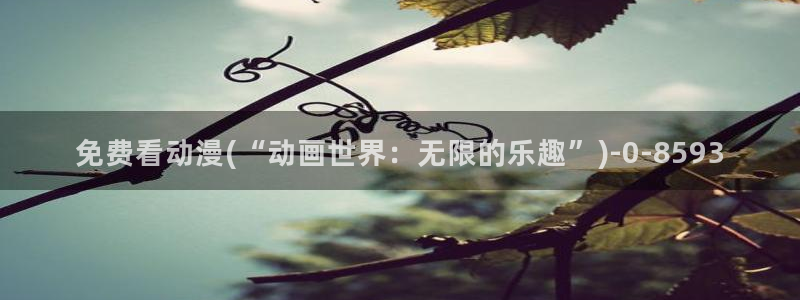火影动漫