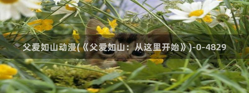动漫卡通
