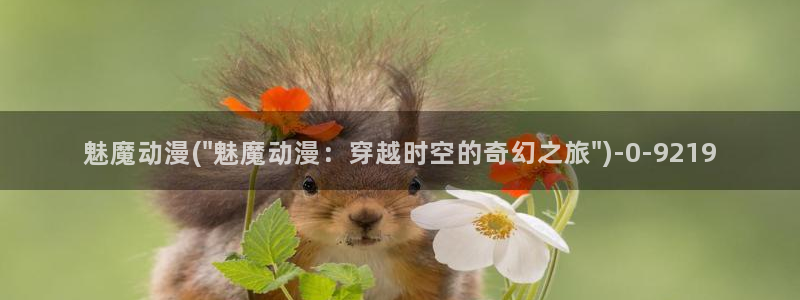 功夫动漫