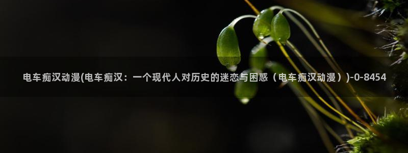 曲奇动漫
