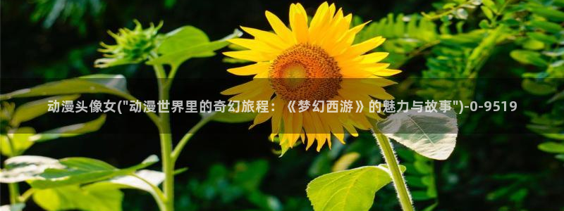 一念永恒动漫