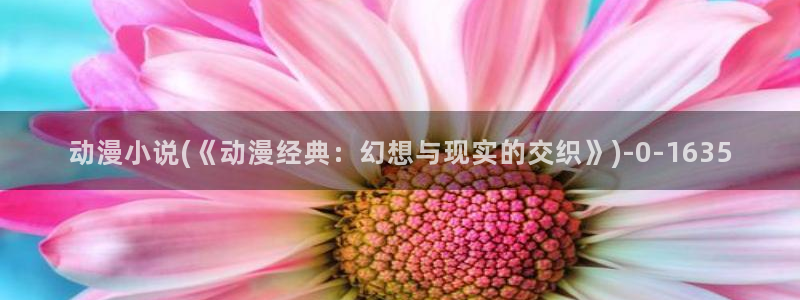动漫内衣办公室