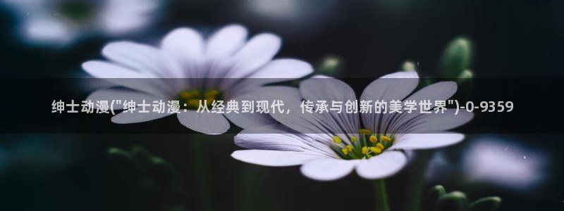全职高手动漫