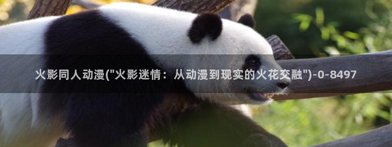 18禁动漫